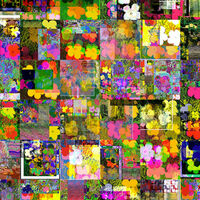 Cornelia Sollfrank, //OG flowers// Eine Collage aus vielen kleinen quadratischen Bildern mit floralen Motiven in verschiedenen Farben und Kompositionen.