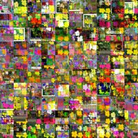 Cornelia Sollfrank, //OG flowers// Das Bild stammt aus der Werkreihe „This is not by me“ der HAP-Grieshaber-Preisträgerin 2025, Cornelia Sollfrank. Es wurde mittels des sogenannten „net.art Generators“ erstellt. Der Generator produziert Collagen aus im Internet vorhandenem Bildmaterial. Grundlage dieses Bildes ist das Werk „Flowers“ von Andy Warhol. Das Bild zeigt eine Collage oder ein Mosaik aus vielen kleinen quadratischen Bildern. Die einzelnen Quadrate scheinen Blumen oder florale Motive in verschiedenen Farben und Kompositionen darzustellen. Das Gesamtbild wirkt abstrakt und bunt, wobei die vielen kleinen Details zu einem größeren, fast texturartigen Muster verschmelzen. Die Farben sind lebendig und vielfältig, was dem Bild eine fröhliche und lebendige Ausstrahlung verleiht. Die Farbpalette ist sehr bunt und leuchtend. Es dominieren intensive Rottöne, Gelbtöne, Orangetöne, Pinktöne, Grüntöne und Blautöne, die in unterschiedlichen Kombinationen und Schattierungen auftreten. Manche Farbflächen wirken fast neonartig hell.