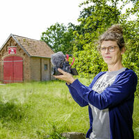 Eine Frau filmt mit einer professionellen Kameraausrüstung auf einer grünen Wiese mit vielen Bäumen und einem kleinen Backsteinhaus mit rotem Tor. 